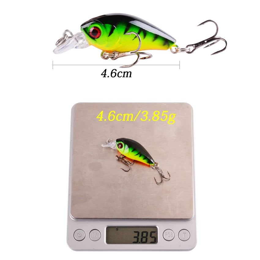 Tropical Minnow Crankbait