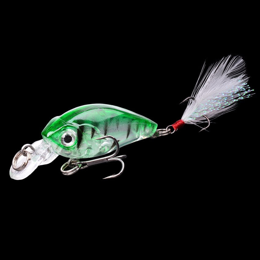 Tropical Minnow Crankbait