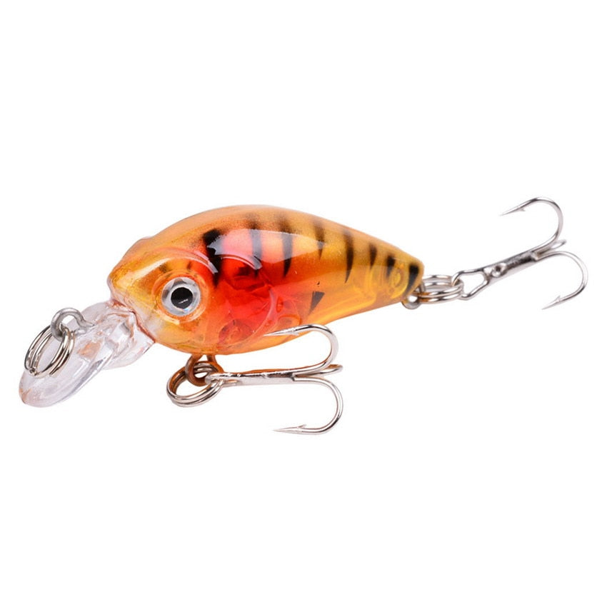 Tropical Minnow Crankbait