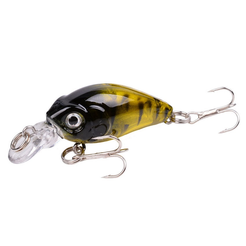 Tropical Minnow Crankbait