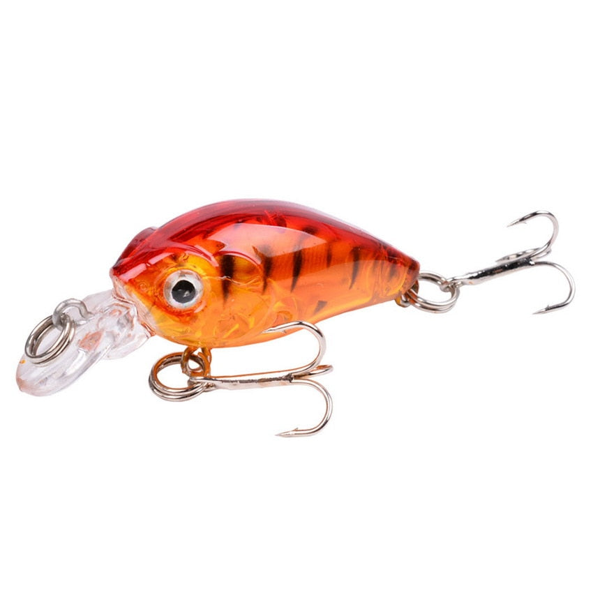 Tropical Minnow Crankbait