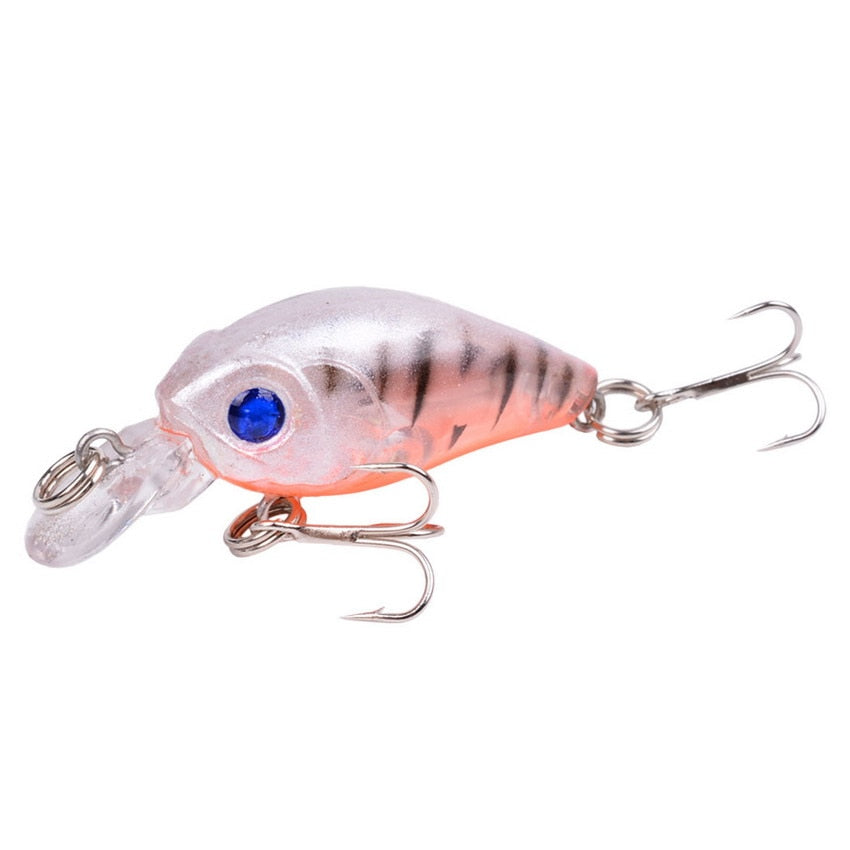 Tropical Minnow Crankbait