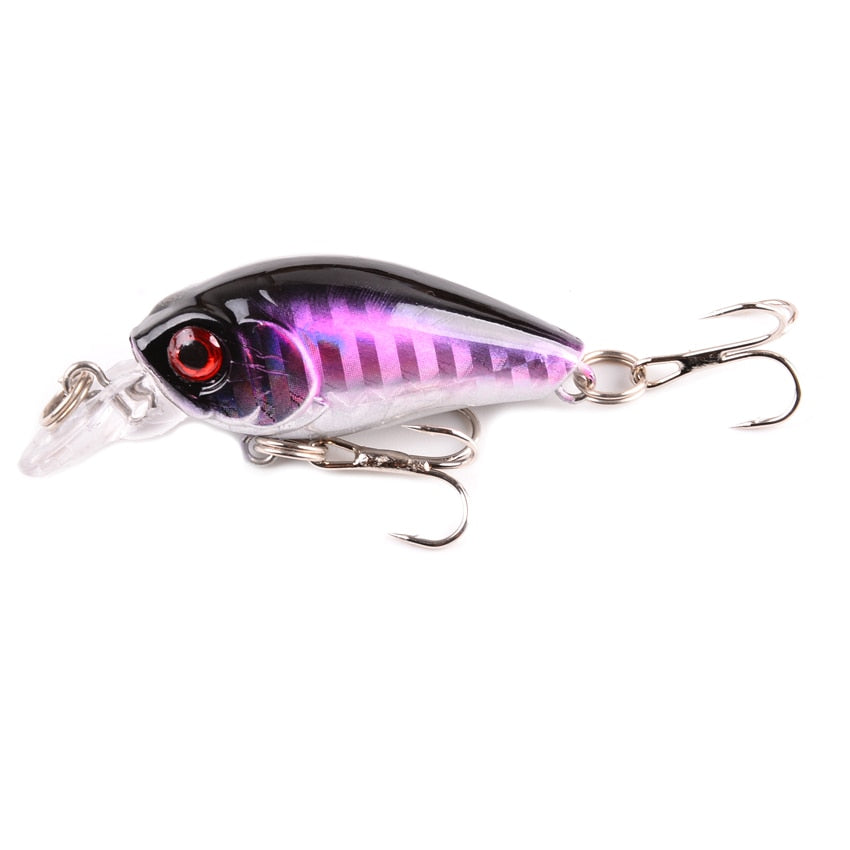 Tropical Minnow Crankbait